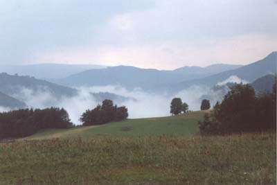 frueh_nebel_im_tal